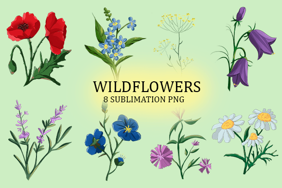 Wild Flowers Clipart Graphic for Creative Projects